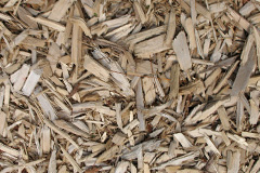 biomass boilers Cymdda